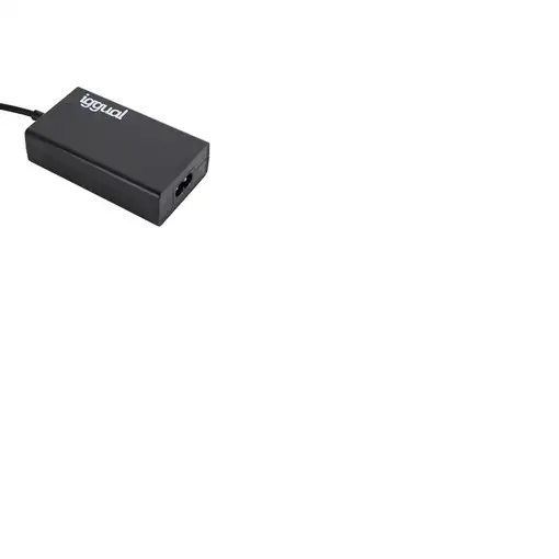iggual CUA-C-8T-65W adaptador e inversor de corriente Interior Negro