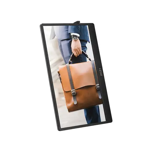 MSI PRO MP161DE E2 pantalla PC 39,6 cm (15.6") 1920 x 1080 Pixeles Full HD LED