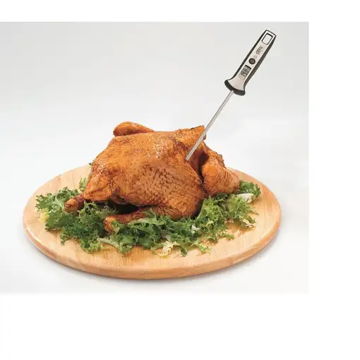 Termómetro de comida Negro 21820 GEFU