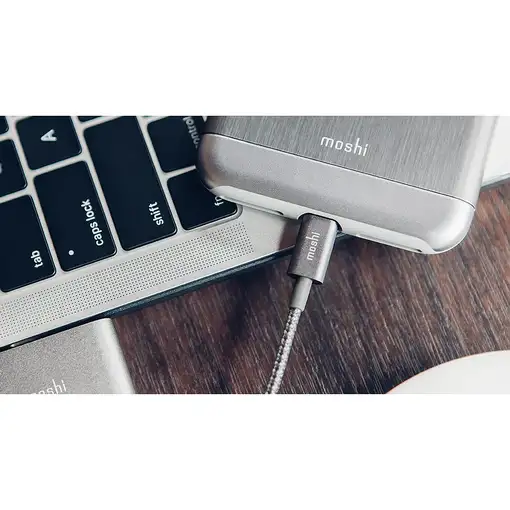 Moshi 99MO023044 cable de conector Lightning 1,2 m Gris, Titanio