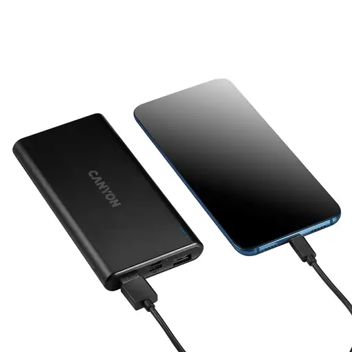 Canyon Powerbank (batería externa) PB-106 10000 mAh Negro