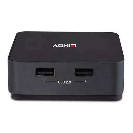 Lindy 42321 interruptor KVM Gris