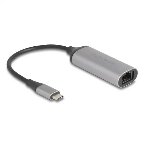 DeLOCK 81570 cambiador de género para cable USB Type-C RJ-45 Antracita