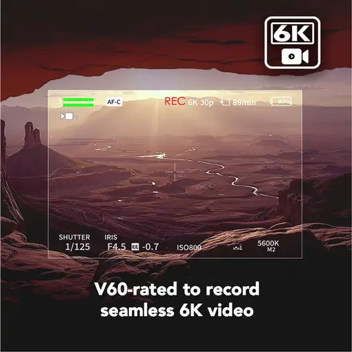 Lexar LSDAMGL512G 512 GB SDXC UHS-II