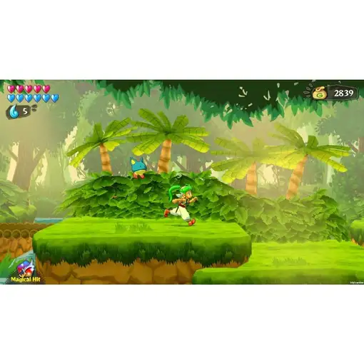 Juego Wonder Boy Asha in Monster World para Nintendo Switch