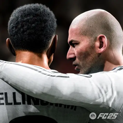 Electronic Arts EA Sports FC 25 Estándar Nintendo Switch