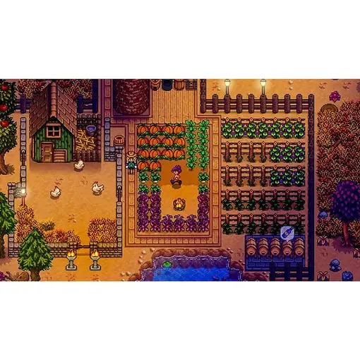 505 Games Stardew Valley