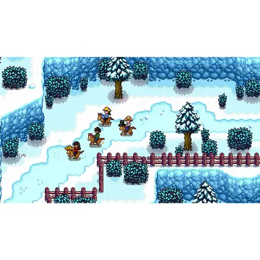 505 Games Stardew Valley