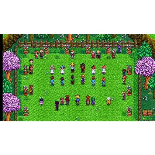 505 Games Stardew Valley