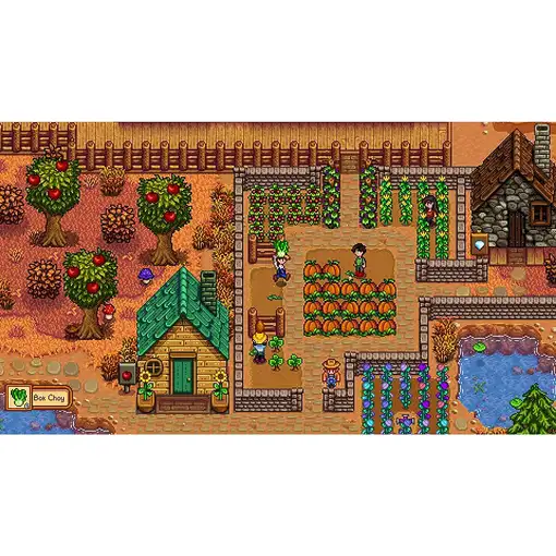 505 Games Stardew Valley