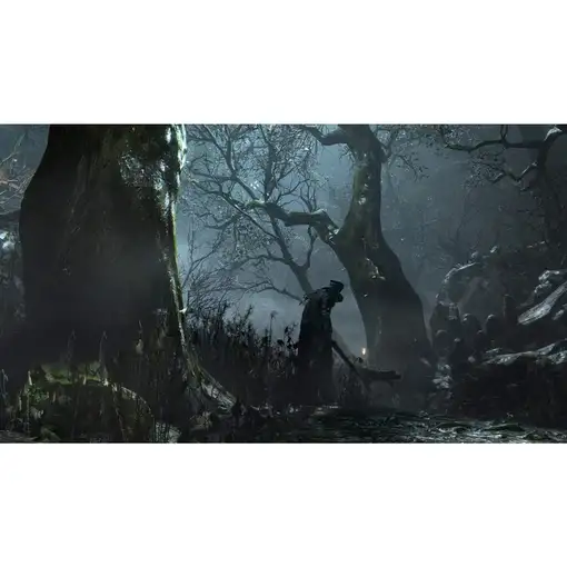 Juego Bloodborne GOTY - Playstation 4