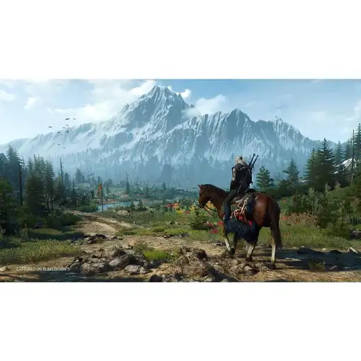 Juego The Witcher 3 Wild Hunt Complete Edition para Playstation 5 | PS5 | Importa
