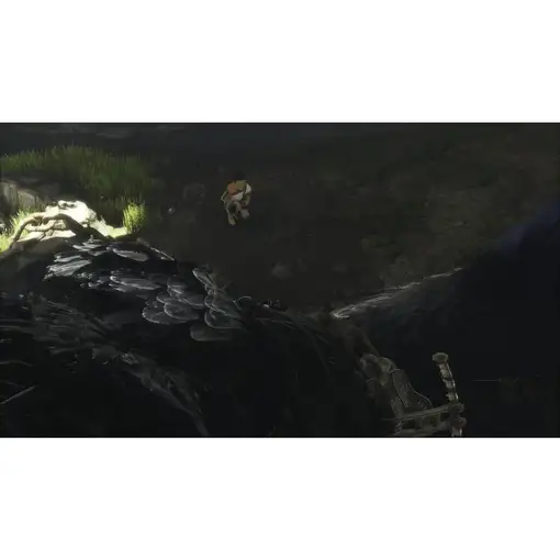 Juego The Last Guardian Para Playstation 4 | PS4