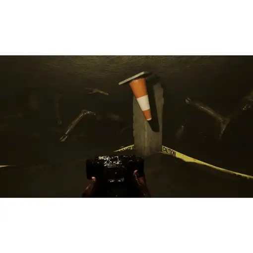 Juego Madison Possessed Edition para Playstation 5 | PS5