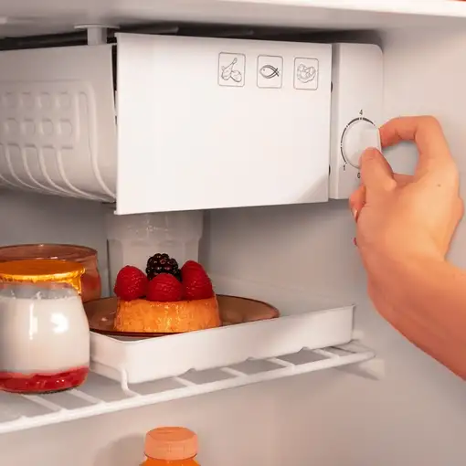 Cecotec Bolero CoolMarket TT Origin 45 nevera combi Independiente 45 L Beige