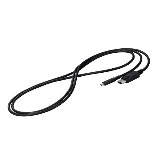EIZO CP200-BK cable DisplayPort 2 m USB Tipo C Negro