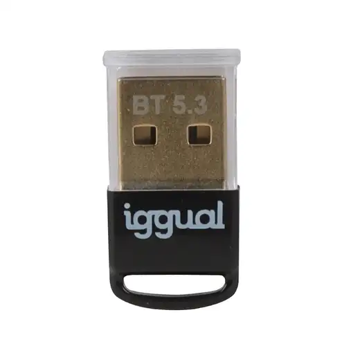 iggual IGG319383 tarjeta y adaptador de interfaz Interno Bluetooth
