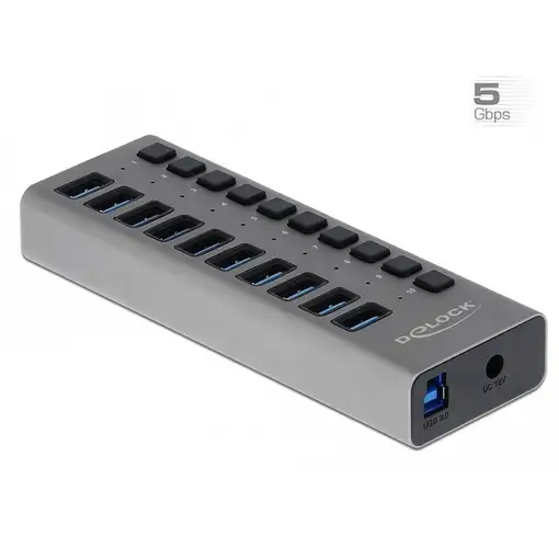 DeLOCK Concentrador externo 5 Gbps USB con 10 puertos + interruptor