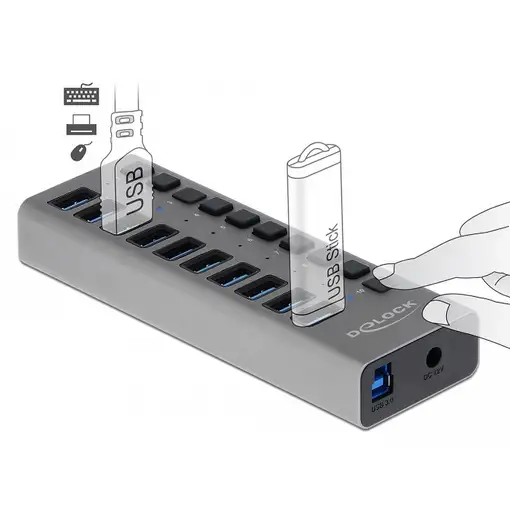 DeLOCK Concentrador externo 5 Gbps USB con 10 puertos + interruptor