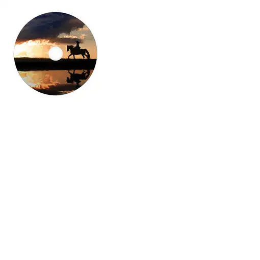 Verbatim 43703 DVD en blanco 8,5 GB DVD-R 50 pieza(s)