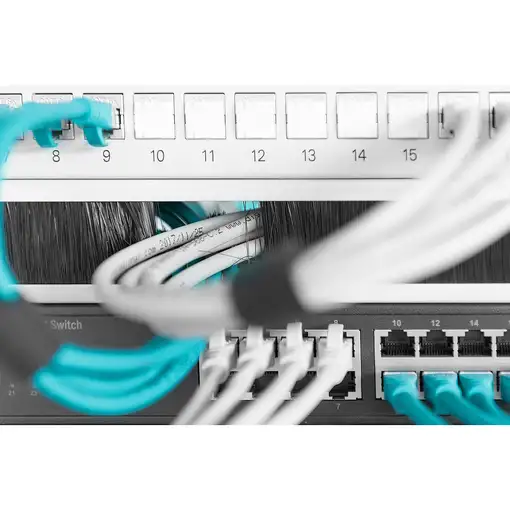 Digitus Regleta de cepillos para cables para armarios de 483 mm (19")