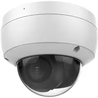 LevelOne FCS-3096 cámara de vigilancia Almohadilla Cámara de seguridad IP Interior