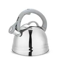 Feel Maestro MR-1304 tetera 2,5 L Gris, Acero inoxidable