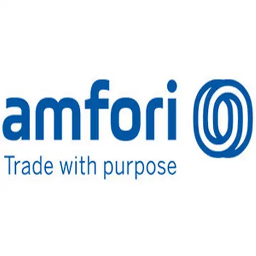 ESBIT WK600HA tetera 0,6 L Gris