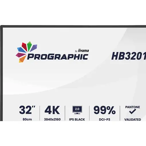 iiyama ProGraphic HB3201UHSNP-B1 pantalla PC 80 cm (31.5") 3840 x 2160 Pixeles