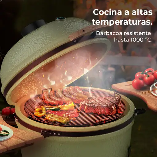 Cecotec DragonFire 6600 Parrilla/barbacoa Kamado Egg Carbón vegetal + Leña Blanco