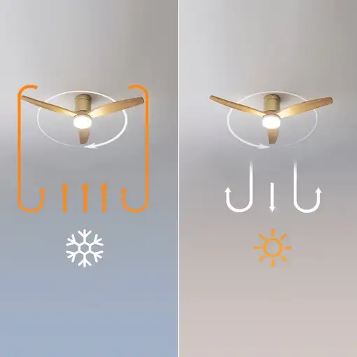 Ventiladores techo Oro CECOTEC