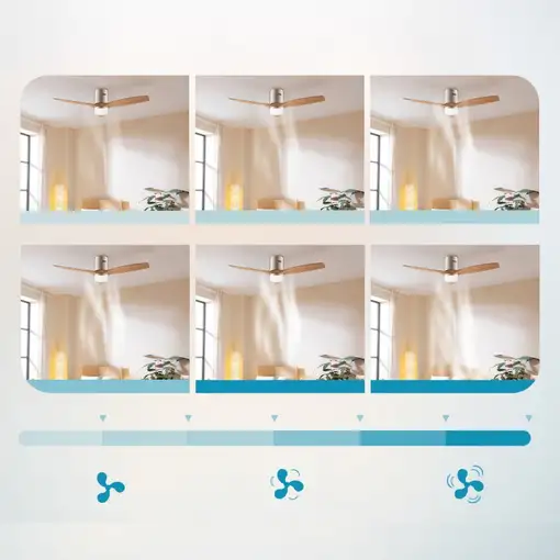 Ventiladores techo Oro CECOTEC