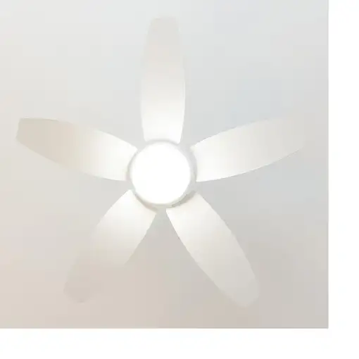 Ventiladores techo Blanco CECOTEC