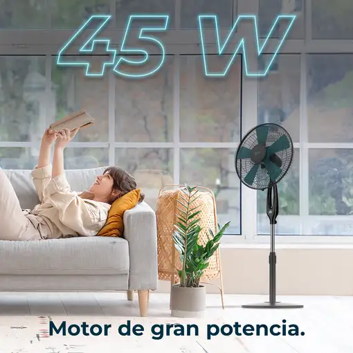 Ventiladores pie/suelo Negro CECOTEC