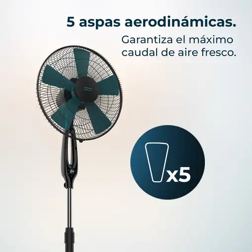 Ventiladores pie/suelo Negro CECOTEC