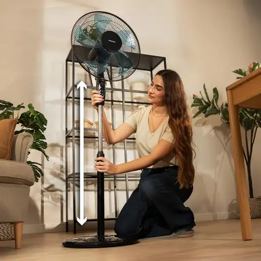 Ventiladores pie/suelo Negro CECOTEC