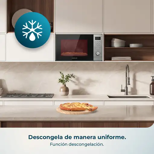 Cecotec Proclean 5005 Negro, Plata Solo microondas Encimera 20 L 700 W