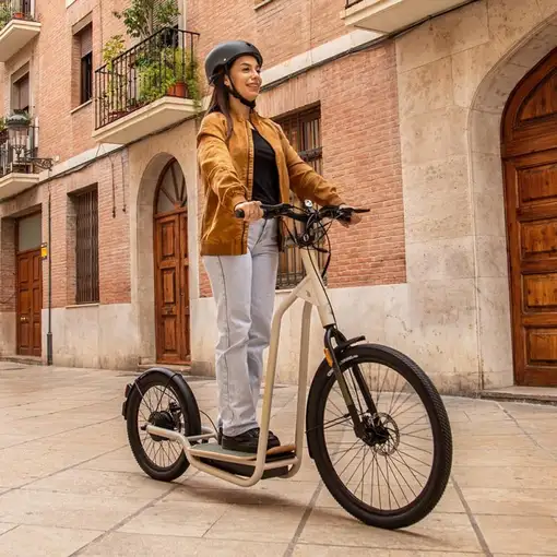 Cecotec  Bicinete Urban