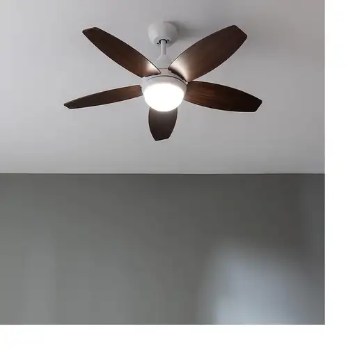 Ventiladores techo Madera CECOTEC