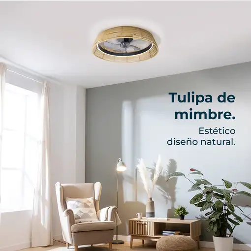 Ventiladores techo Oro CECOTEC