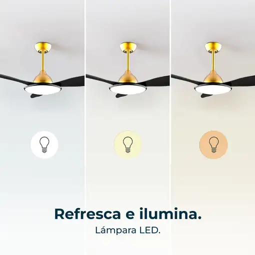 Ventiladores techo Negro CECOTEC