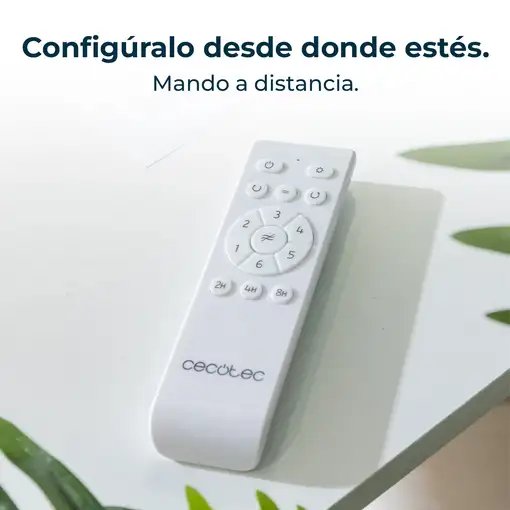 Ventiladores techo Madera CECOTEC