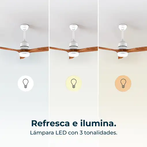 Ventiladores techo Madera CECOTEC