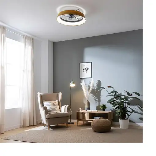 Ventiladores techo Negro CECOTEC