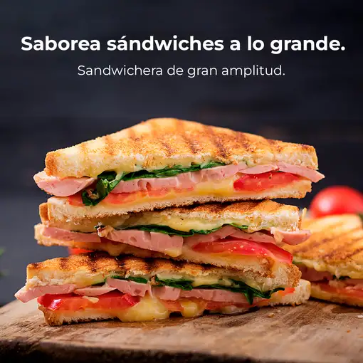 Cecotec Rock'nToast Deep Classic sandwichera 100 W Negro