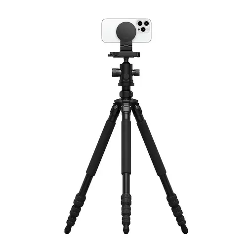 Belkin MMA007BTGY soporte Soporte pasivo Teléfono móvil/smartphone Negro