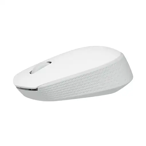 Logitech M171