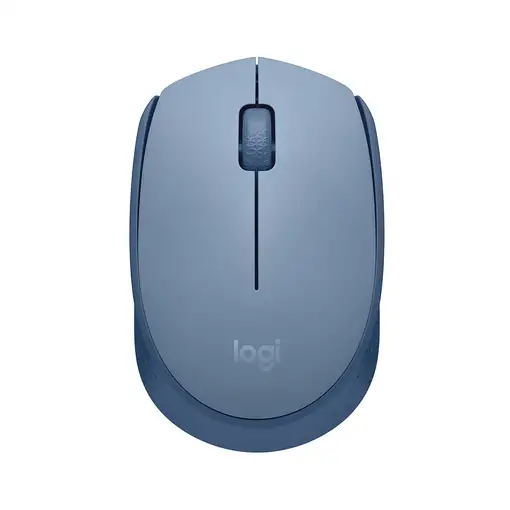 Logitech M171