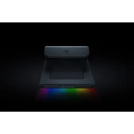 Otros accesorio informática Negro RC21-01680100-R3M1 RAZER