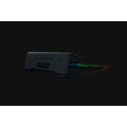 Otros accesorio informática Negro RC21-01680100-R3M1 RAZER